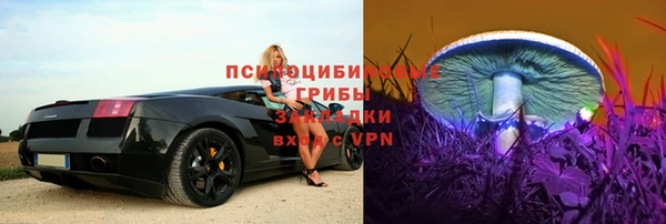 прущая мука Армянск