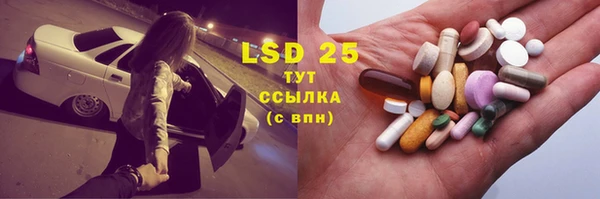 трава Аркадак