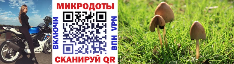 blacksprut зеркало  Злынка  Галлюциногенные грибы мухоморы 